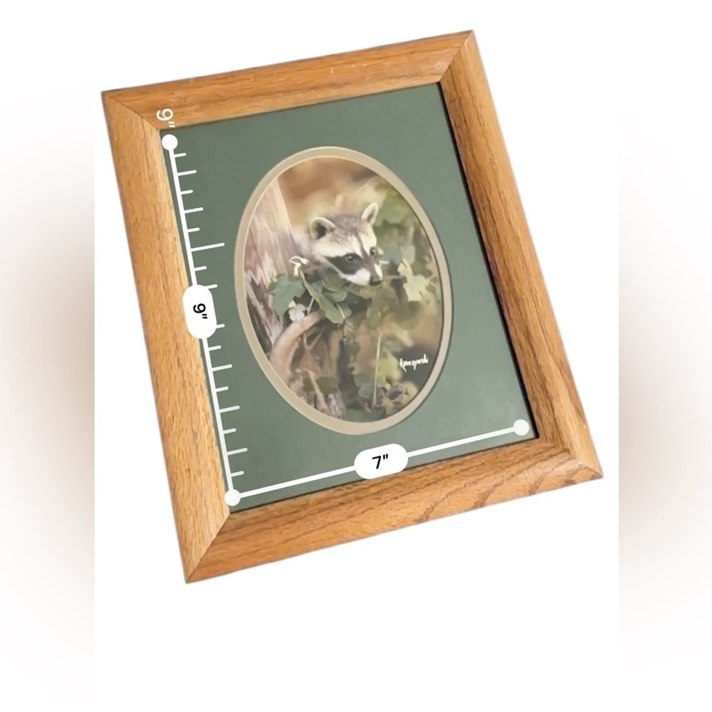Vintage Framed Matted Set Of Two Baby Raccoon Photos - Picture 8 of 9